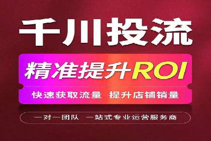 谷歌SEM案例研究：数据分析与效果评估